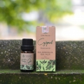 Tinh dầu Tràm gió (lọ 10ml)