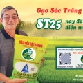 Gạo ST25 (Ông Cua) Chính Hãng (Lúa Ruộng Nhiều Vụ) - Túi 5kg