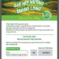 Gạo nếp nương Quang Long