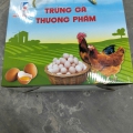 Trứng gà thương phẩm Hải Thịnh