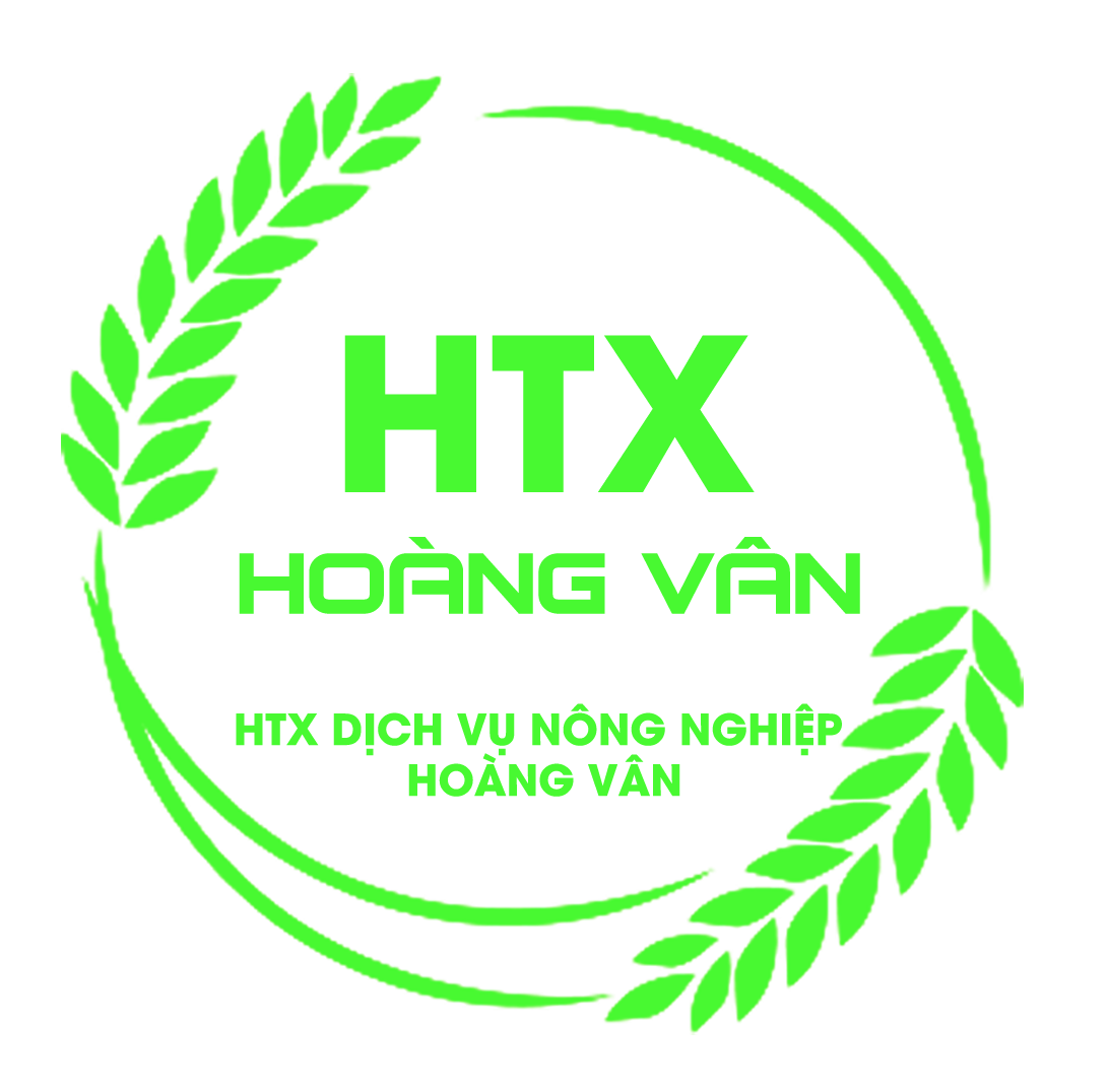 HTX Dịch vụ Nông Nghiệp Hoàng Vân