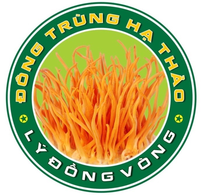 HỘ KINH DOANH NGÔ VĂN LÝ