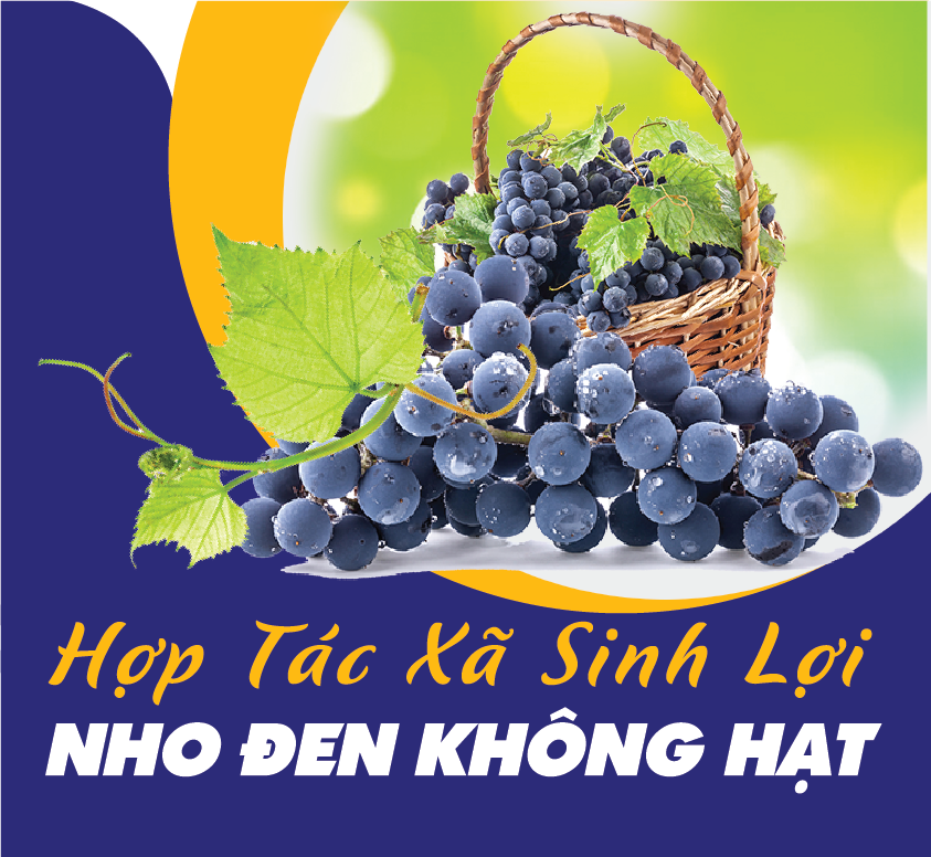 HỢP TÁC XÃ SINH LỢI