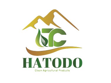 CÔNG TY TRÁCH NHIỆM HỮU HẠN HATODO