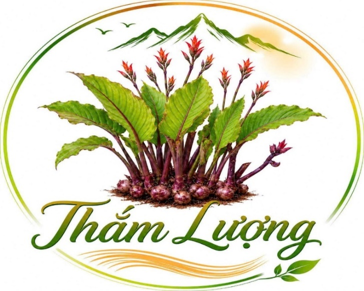 HỢP TÁC XÃ THẮM LƯỢNG
