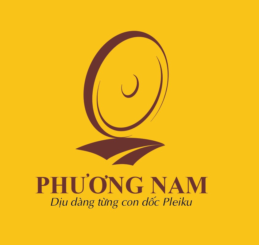 CÔNG TY TNHH MỘT THÀNH VIÊN XE ĐIỆN PHƯƠNG NAM GIA LAI