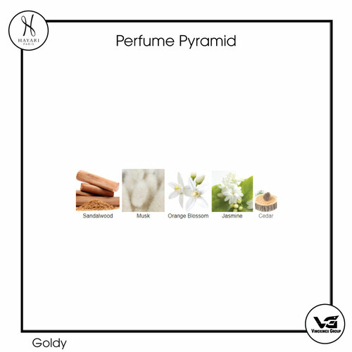 Nước hoa  Goldy – HAYARI Parfums Paris 100ML