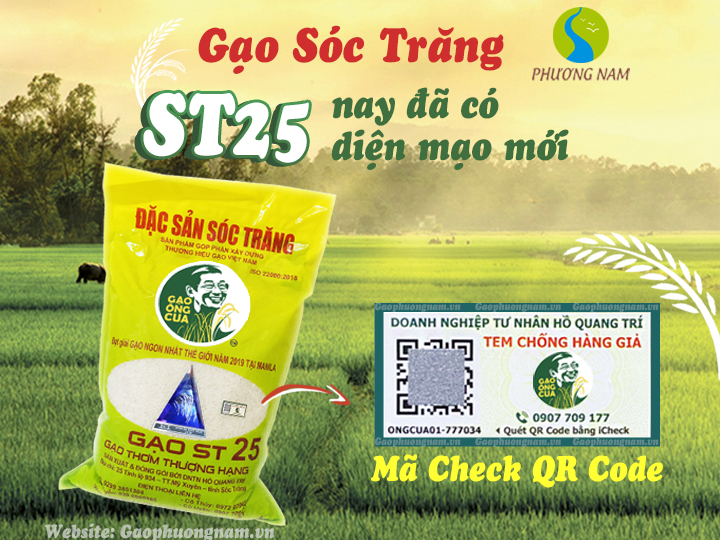 Gạo ST25 (Ông Cua) Chính Hãng (Lúa Ruộng Nhiều Vụ) - Túi 5kg