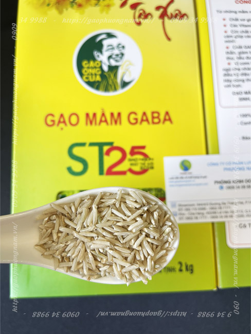 Gạo Mầm Gaba ST25 Chính Hãng