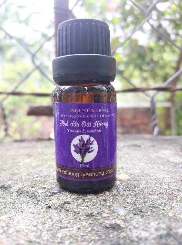 Tình dầu oải hương Lavender