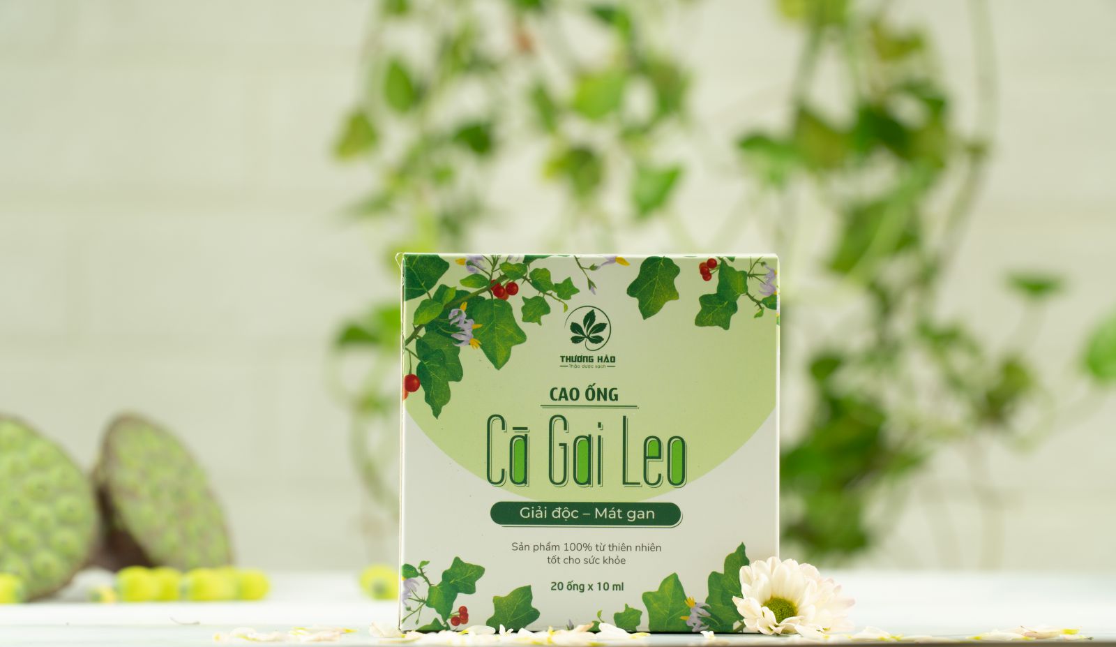 Cao ống Cà gai leo Thương Hảo