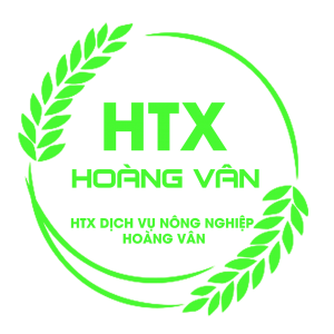 HTX Dịch vụ Nông Nghiệp Hoàng Vân