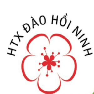 HTX TRỒNG ĐÀO HỒI SINH