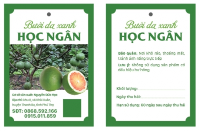 Hộ kinh doanh Nguyễn Đức Học