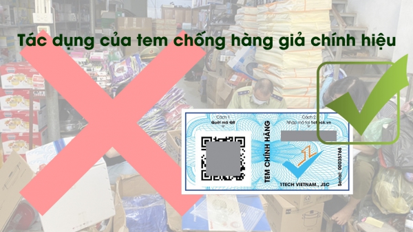 Sử dụng tem chống hàng giả như thế nào cho đúng cách