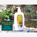 Nước rửa chén sinh học thảo dược BioClean X2, hương tràm, chai 500ml