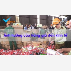 Tác động của hàng giả đến nền kinh tế.