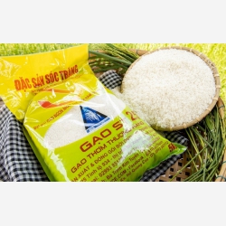 Nhận biết gạo ST25 thật giả