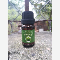 Tinh dầu Bạc hà, lọ 10ml (Set 10 lọ)