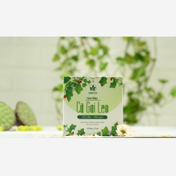 Cao ống Cà gai leo, hộp 20 ống, 10ml/ống (Sét 50 hộp)