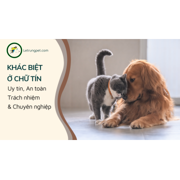 Thị trường thú cưng ngoại tại Việt Nam – vấn đề về uy tín và giá cả