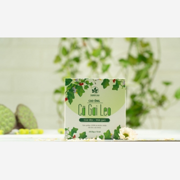 Cao ống Cà gai leo, hộp 20 ống, 10ml/ống (Sét 50 hộp)